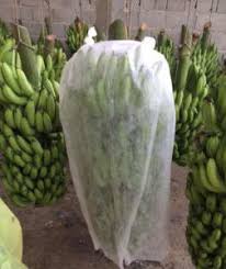 Non Woven Banana Bunch Cover
